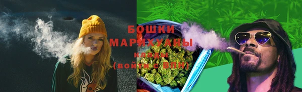 прущие грибы Липки