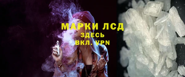 прущие грибы Липки