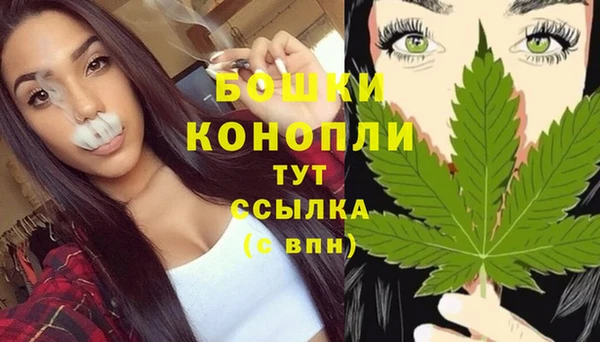 прущие грибы Липки