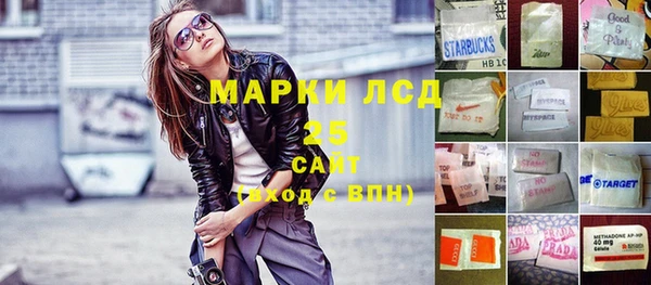 прущие грибы Липки