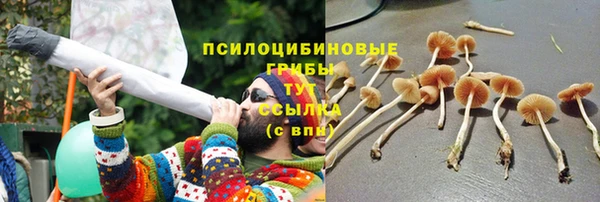 прущая мука Лиски