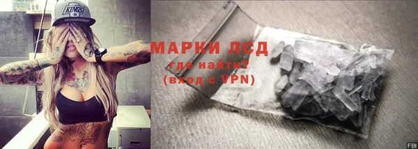 прущие грибы Липки