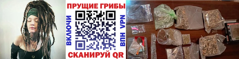 Псилоцибиновые грибы мицелий  Шиханы 